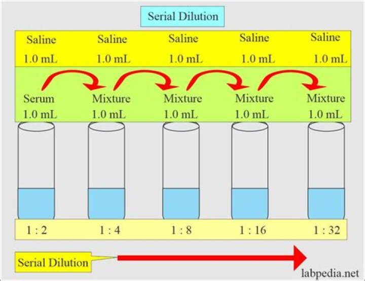 1:100 dilution