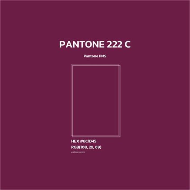 #222 color