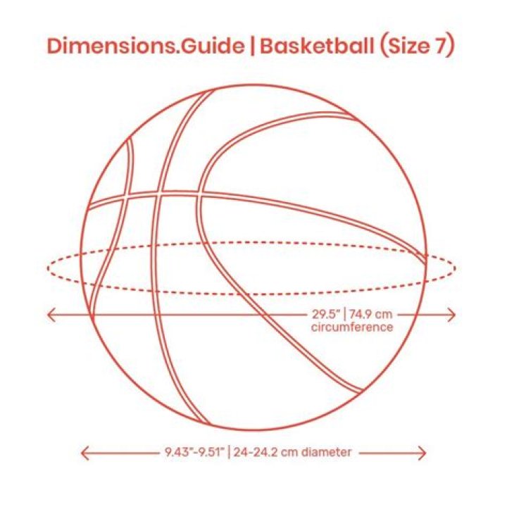 28.5 basketball size