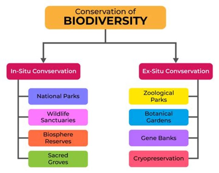 4 components biodiversity