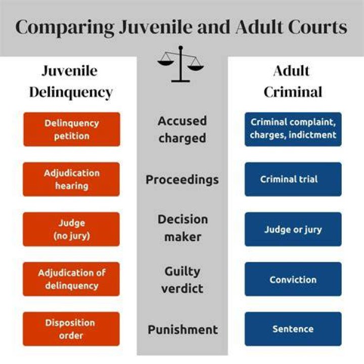 4 types of cases handled in juvenile court