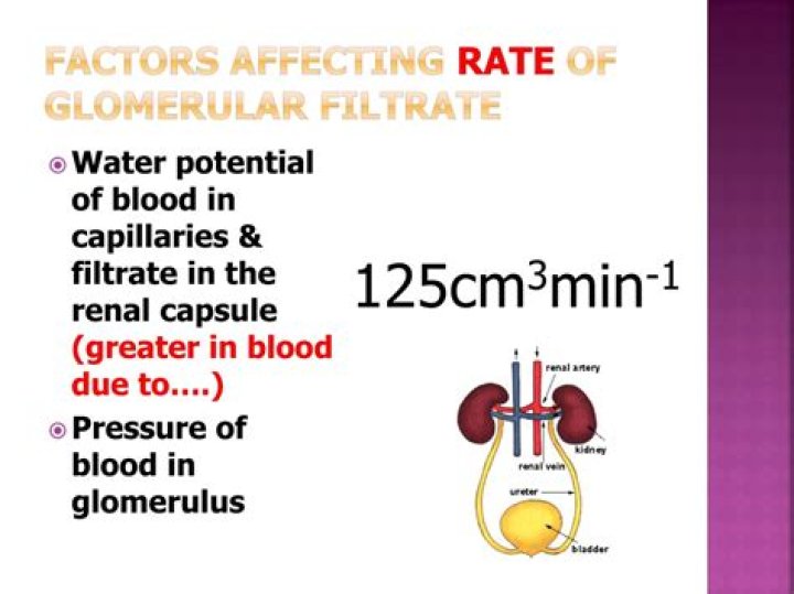 a major factor affecting ultrafiltration is