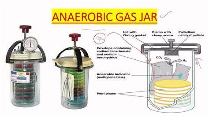 anaerobic jar uses
