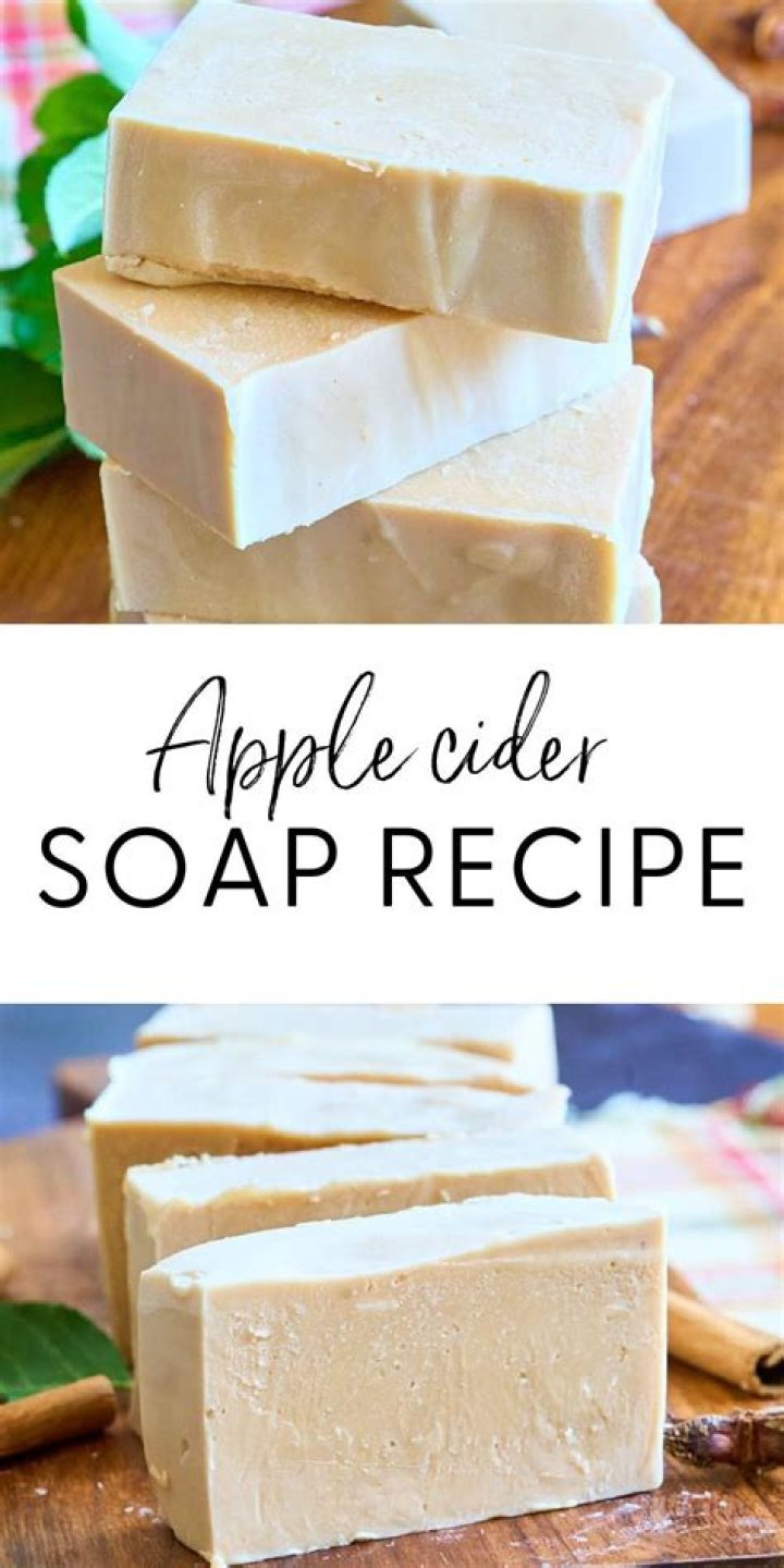 apple cider vinegar sugar and dish soap