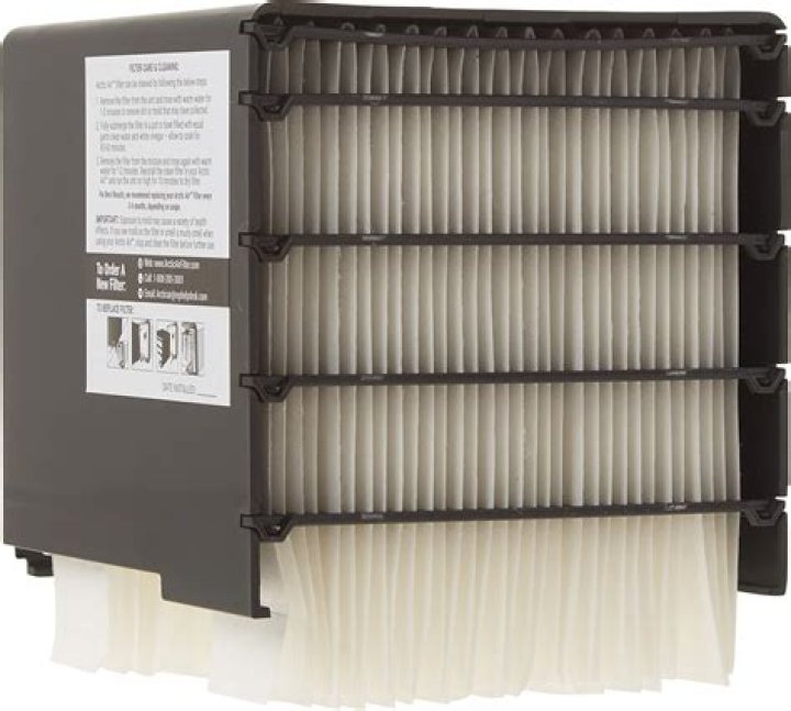 arctic air filter mold