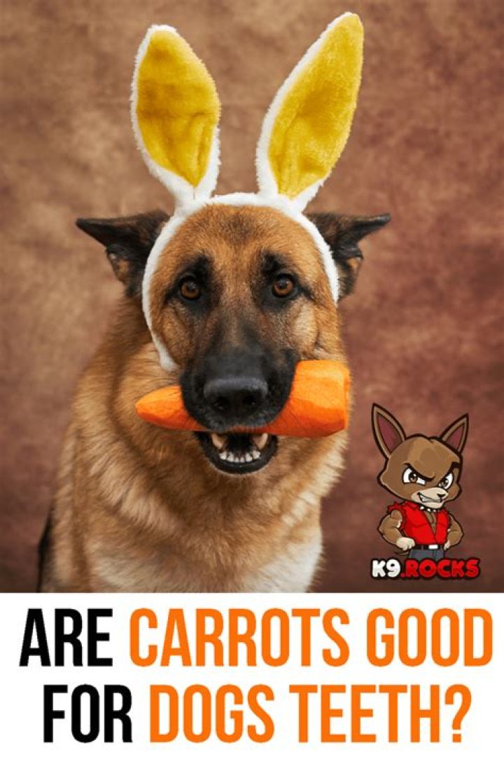 are carrots good for dogs teeth