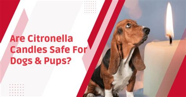 are citronella candles safe