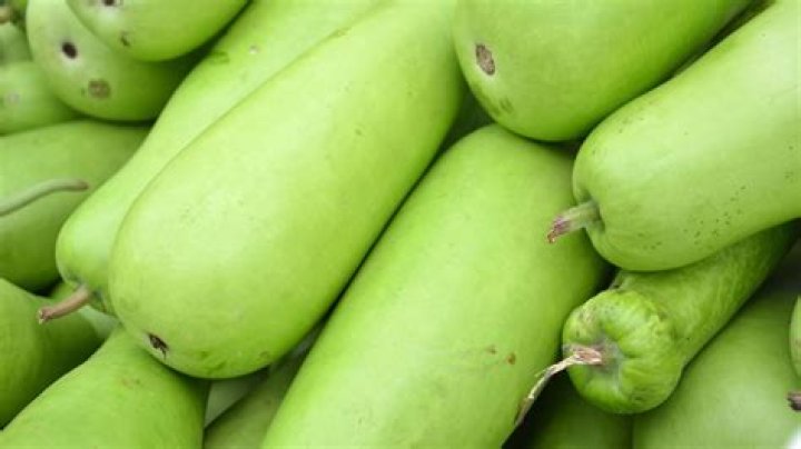 are gourds poisonous