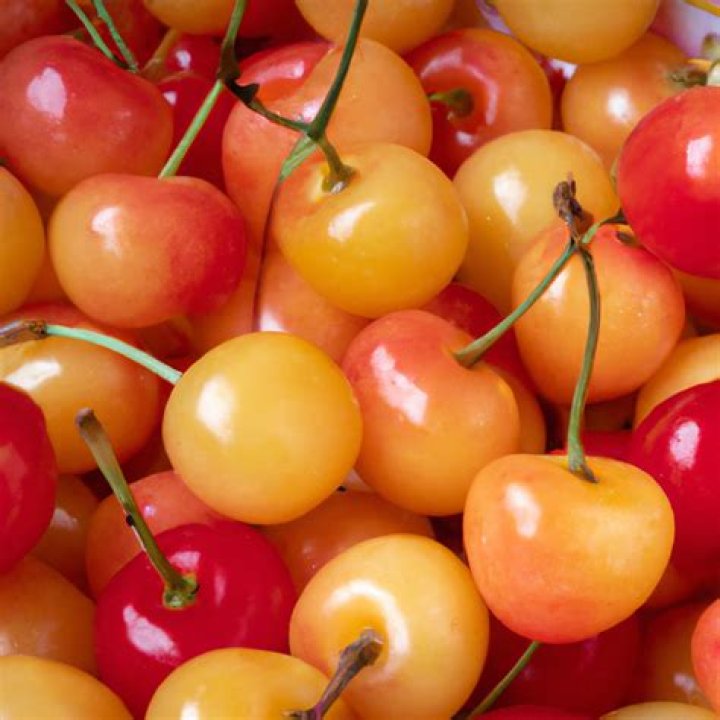are rainier cherries good for diabetics