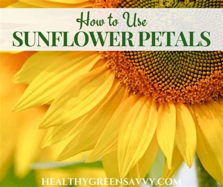 are sunflower petals edible