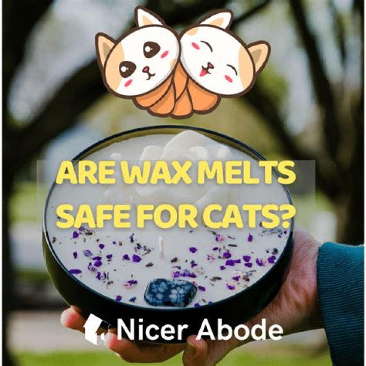 are wax melts safe for cats