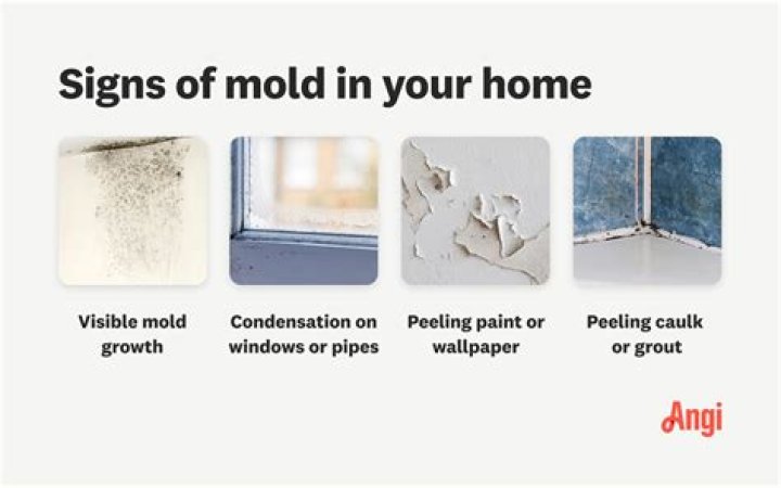 at what humidity does mold die