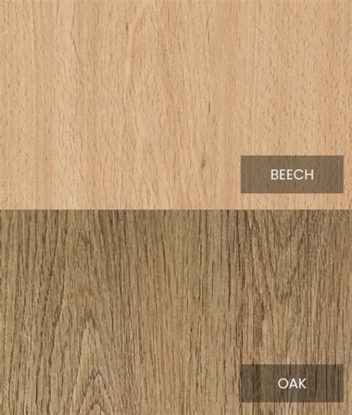 beech vs oak