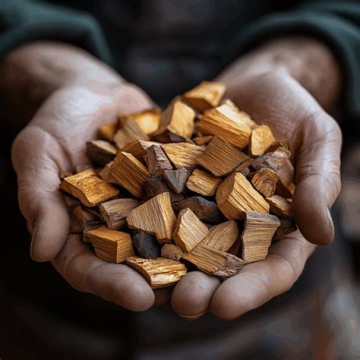 best wood chips for smoking salmon