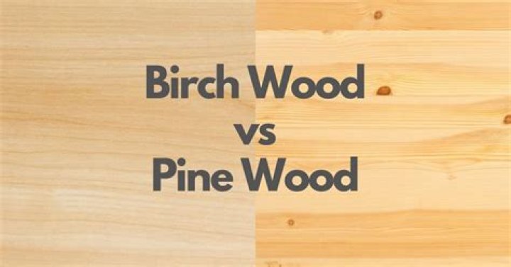 birch vs pine