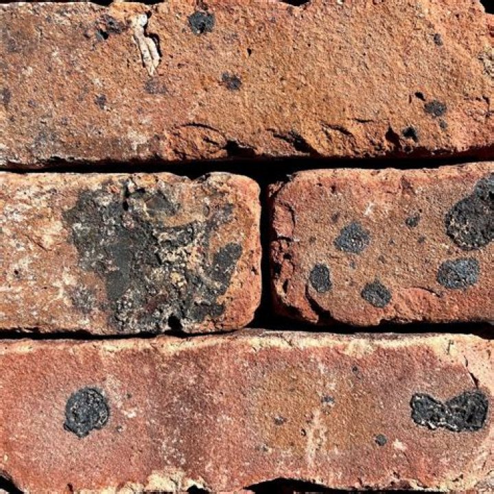 black spots on bricks