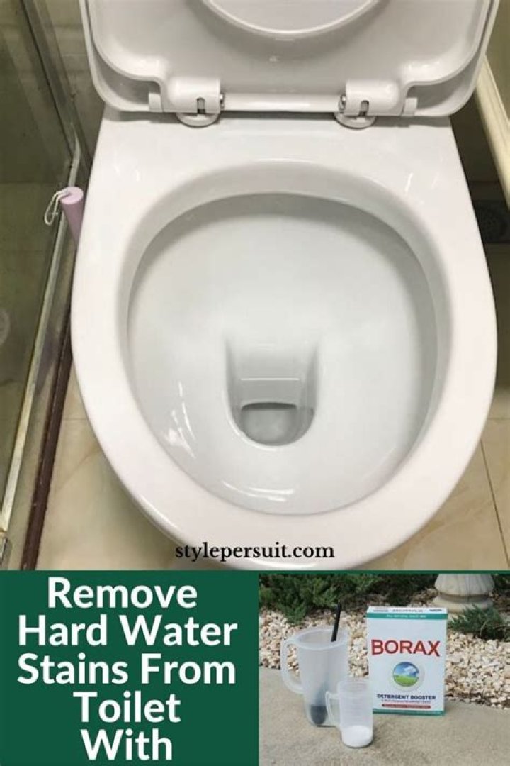 borax in toilet tank