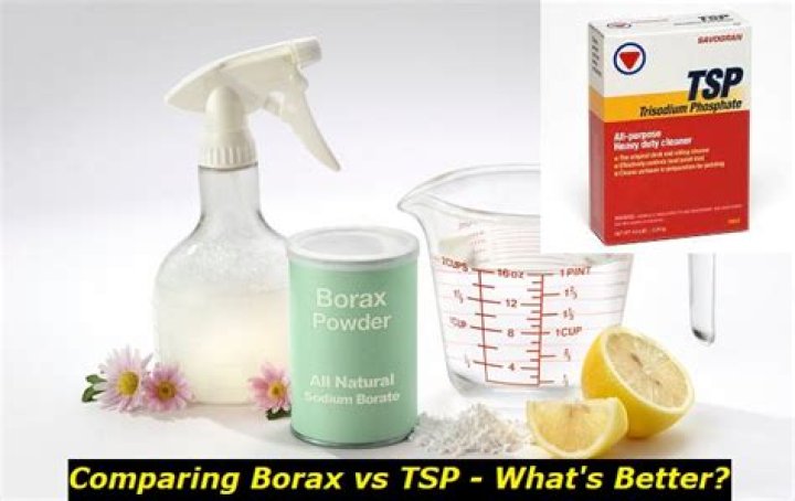 borax vs tsp