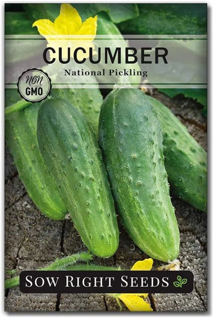 boston pickling cucumber yellow