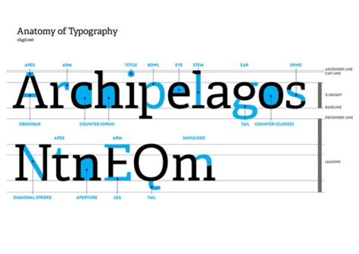 bowl in typography