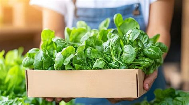 box of spinach