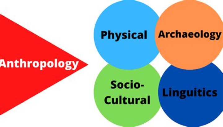 branches of anthropology