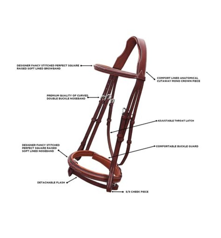 bridle meaning in bible