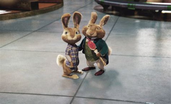 bunny from hop