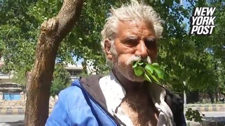 can humans eat leaves