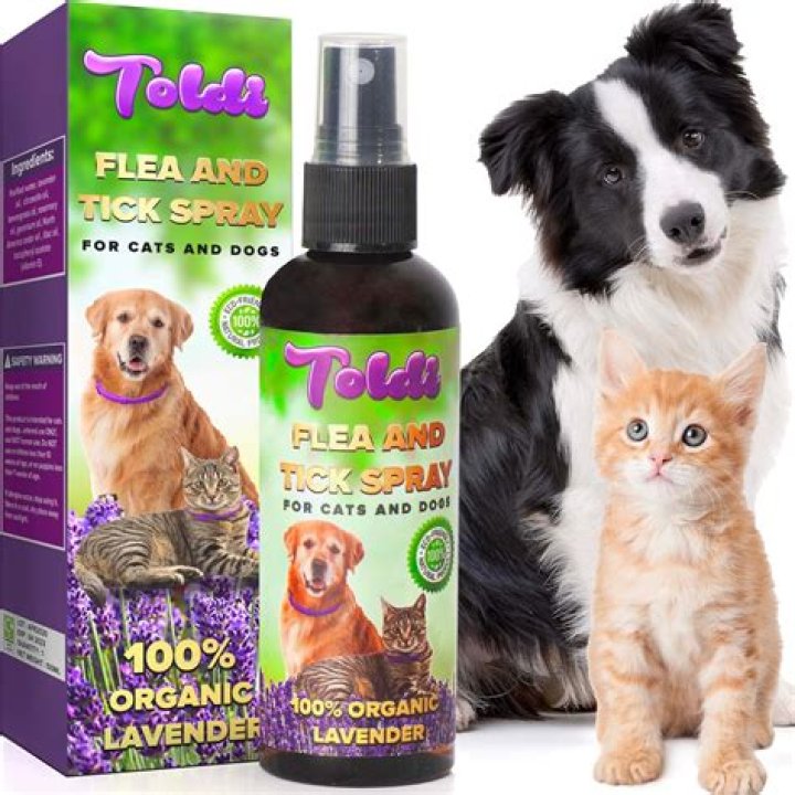 can i use cat flea treatment on my dog