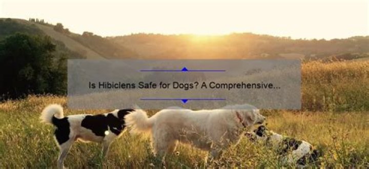 can i use hibiclens on my dog
