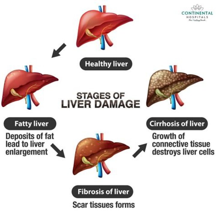 can slippery elm cause liver damage