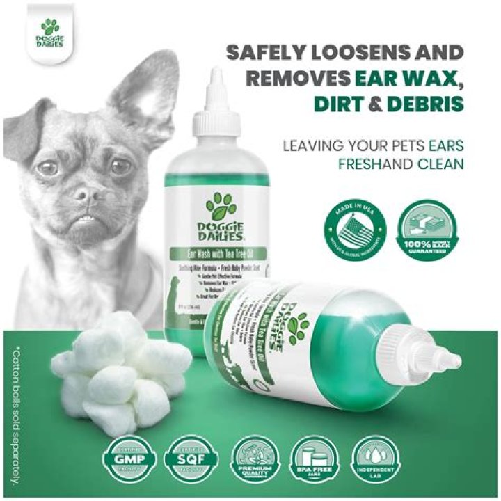 can the smell of tea tree oil hurt dogs