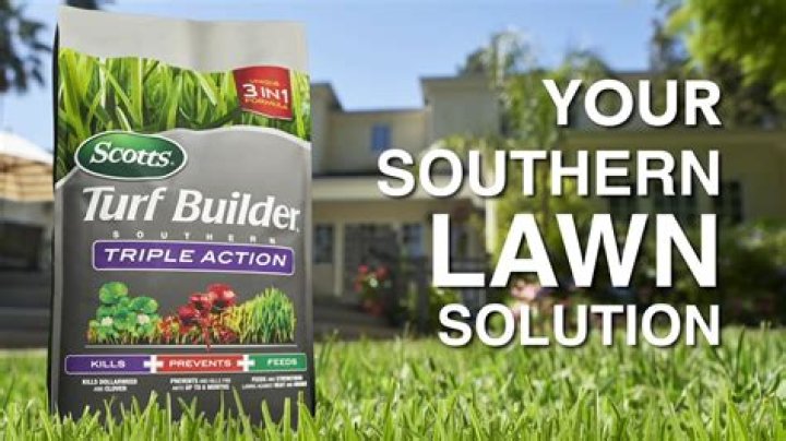 can you apply scotts turf builder before rain