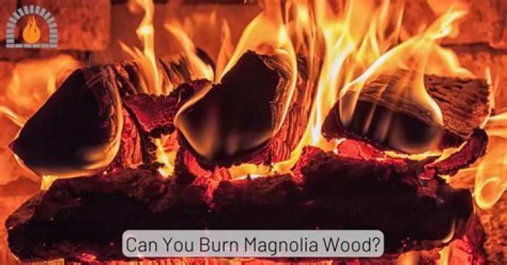 can you burn magnolia wood