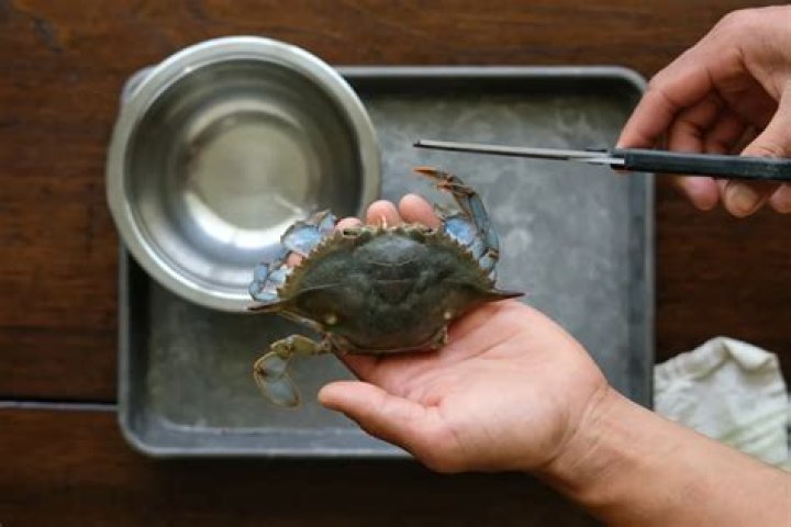 can you freeze soft shell crabs