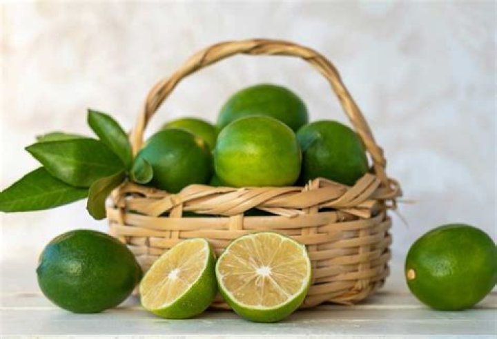 can you put limes in garbage disposal