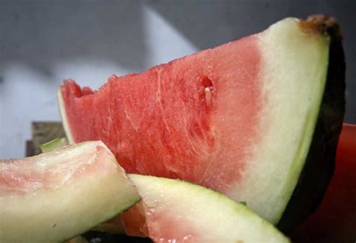 can you put watermelon rinds in a garbage disposal