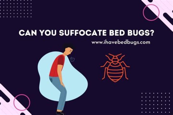 can you suffocate bed bugs