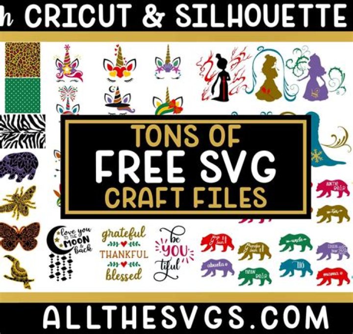 can you use a png file for cricut