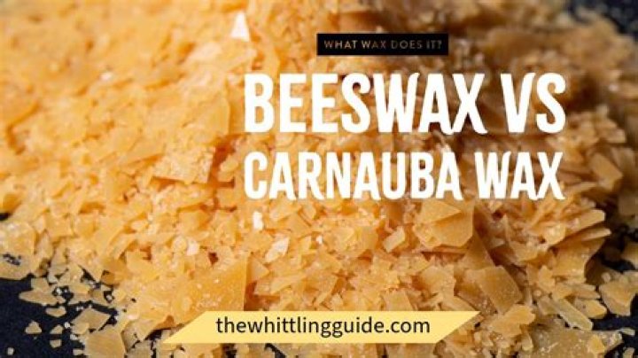 carnauba wax vs beeswax