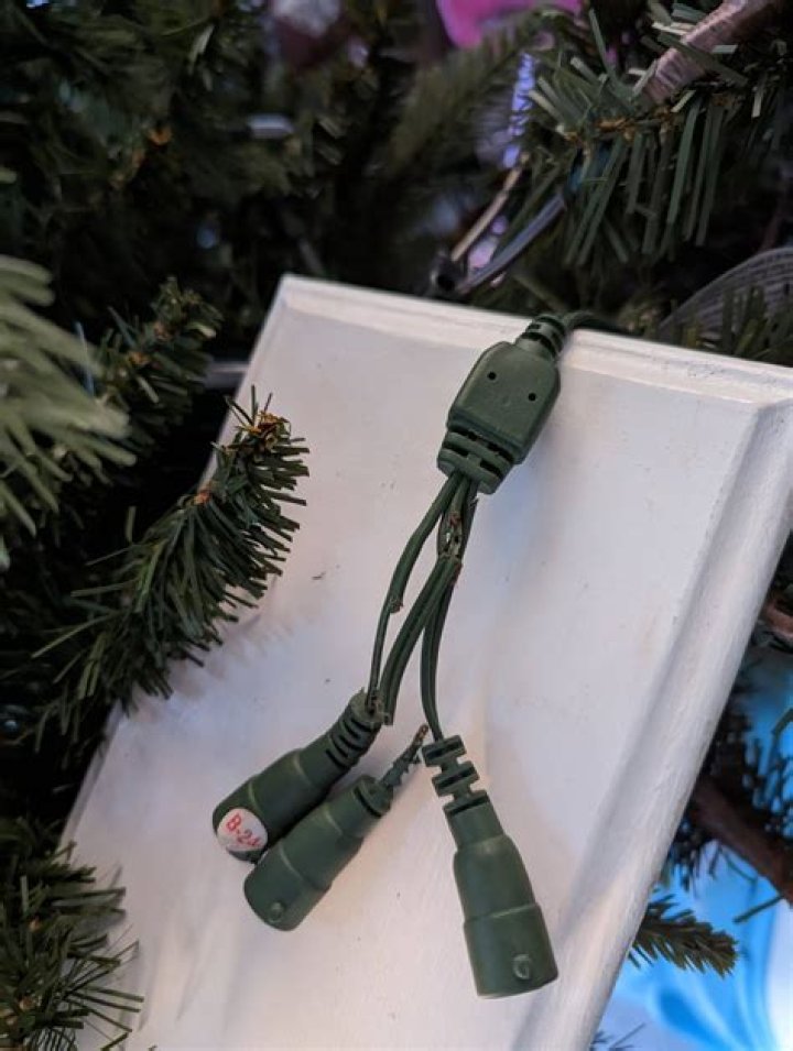 cat chewed through christmas lights