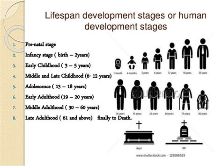 characteristics of human development from a lifespan perspective