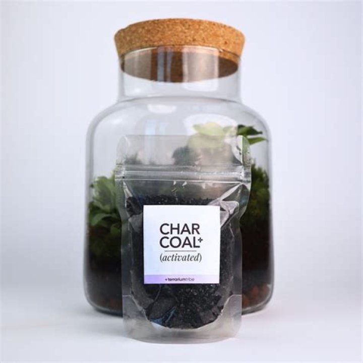charcoal for terrariums