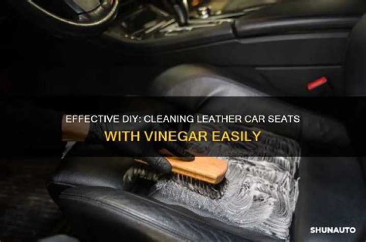 cleaning vinyl seats with vinegar