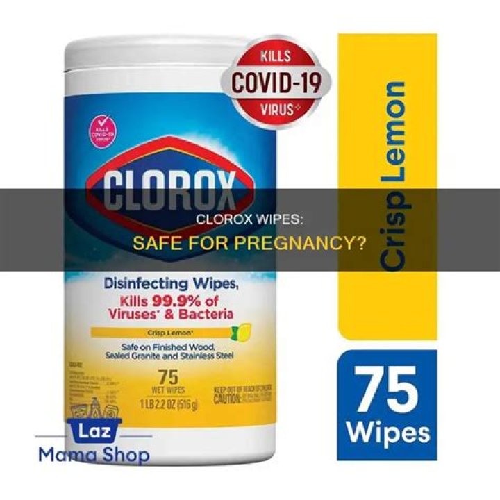 clorox wipes pregnancy