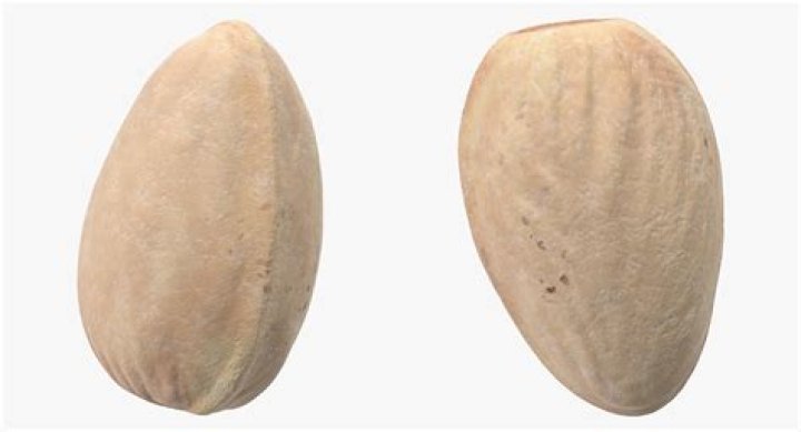 closed pistachio
