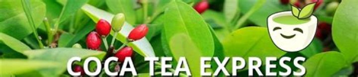 coca tea uk