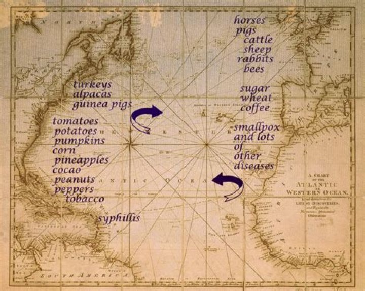 columbian exchange food