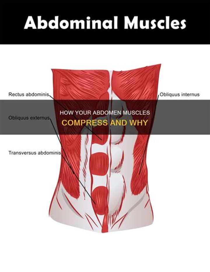 compresses abdomen